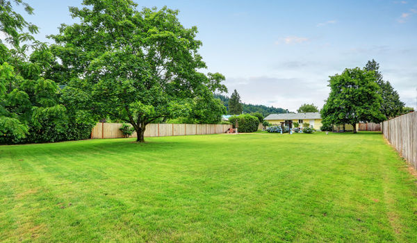 a54756920230209123115749