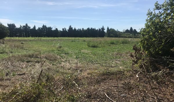 photo terrain le sainbois 4